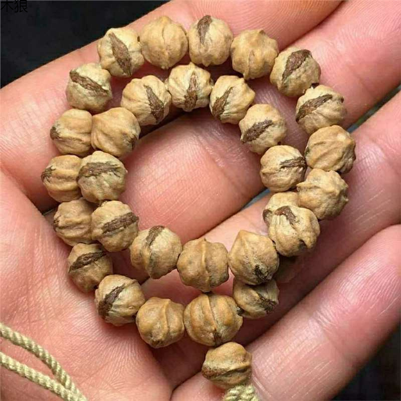 ดอกตูมแดงสั่นร้อนสกปรกด้วยพระพ - Vintage Collectible Market บทวิจารณ์และราคา